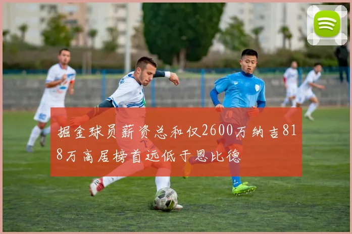 掘金球员薪资总和仅2600万纳吉818万高居榜首远低于恩比德