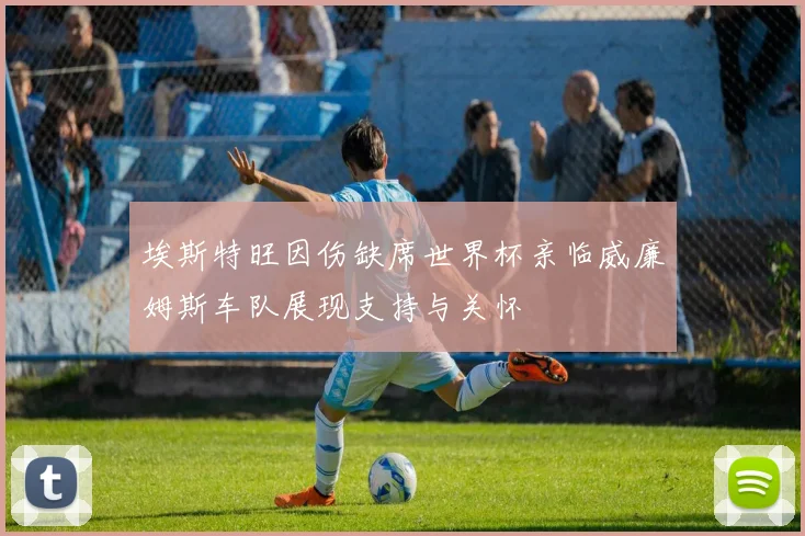埃斯特旺因伤缺席世界杯亲临威廉姆斯车队展现支持与关怀