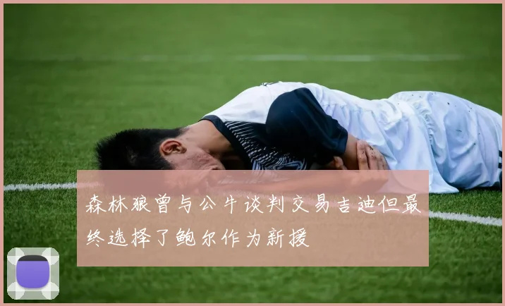 森林狼曾与公牛谈判交易吉迪但最终选择了鲍尔作为新援